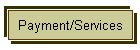 Payment/Services